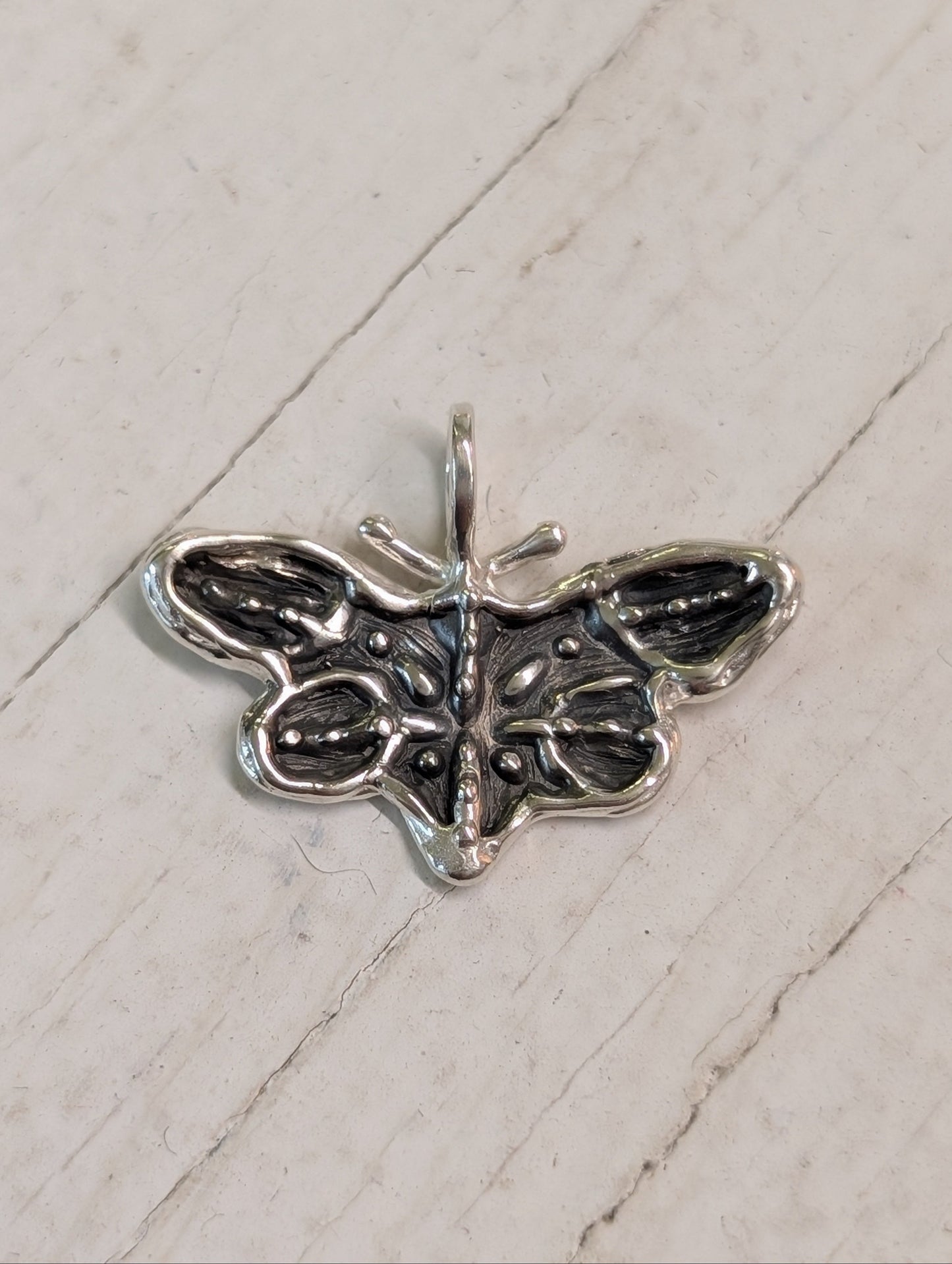 zebra butterfly