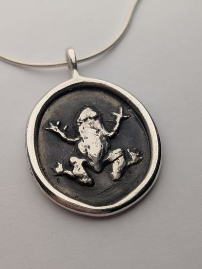 the frog pendant
