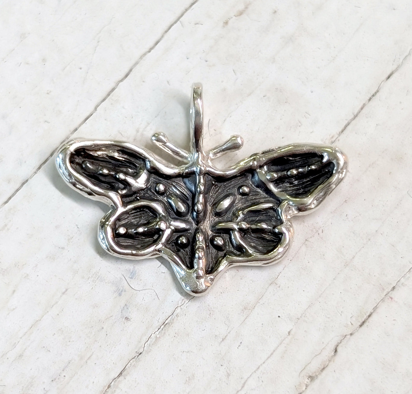 zebra butterfly