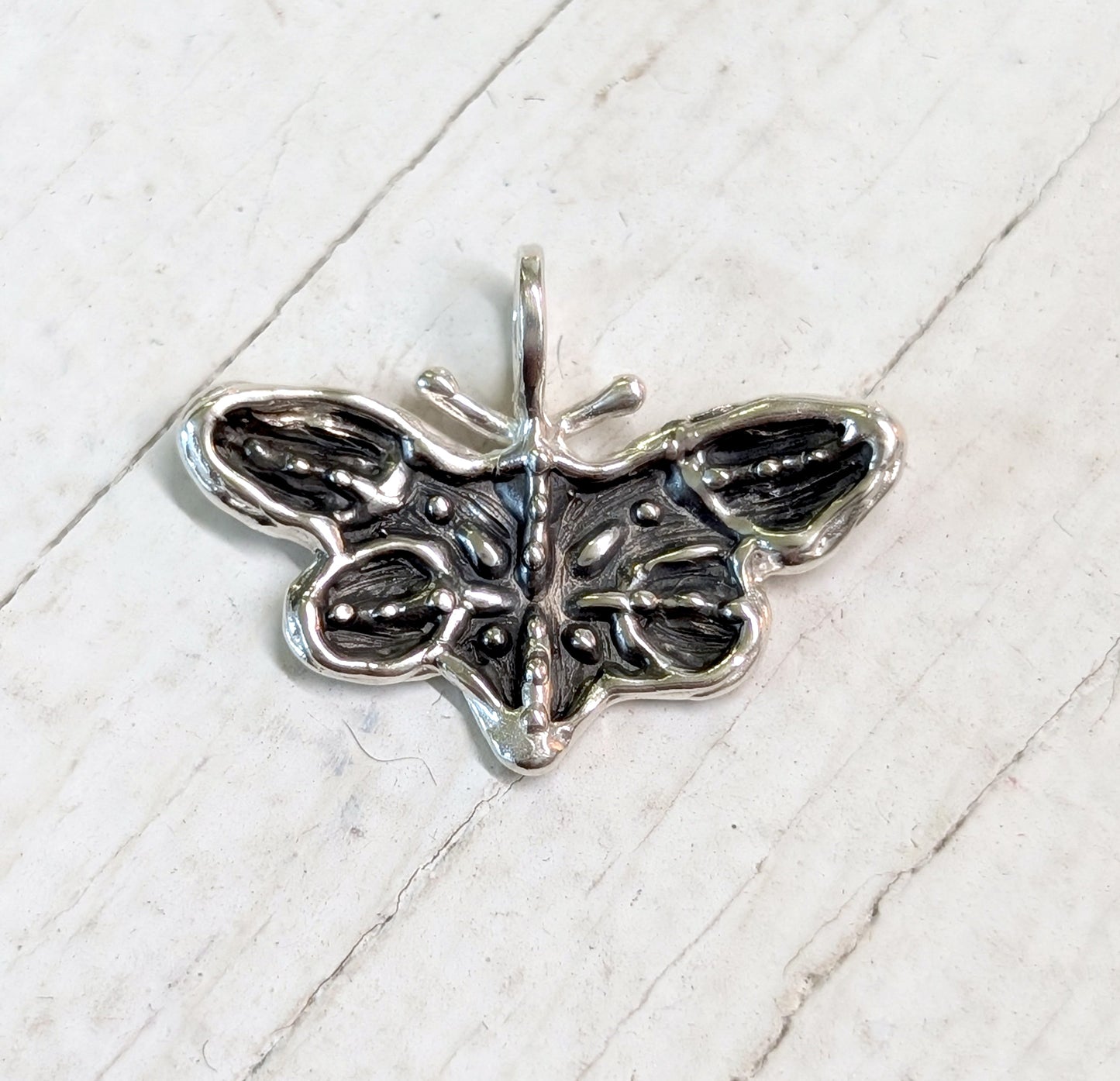 zebra butterfly