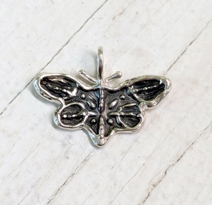 zebra butterfly